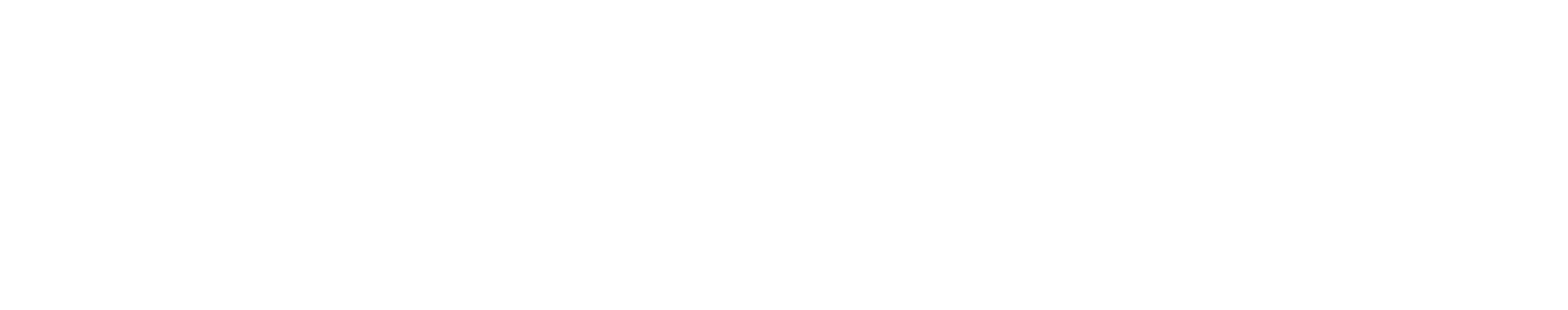 logo-white